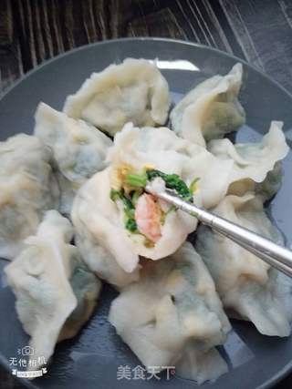 荠菜虾仁水饺的做法步骤:21
