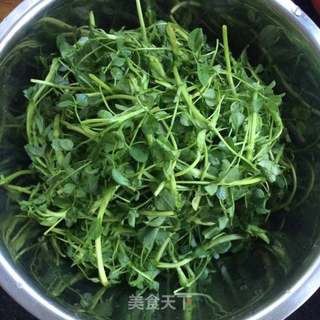 蒜香苜蓿芽的做法步骤:2