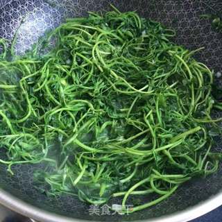 蒜香苜蓿芽的做法步骤:5