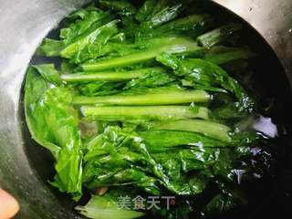 凉拌油麦菜的做法步骤：4