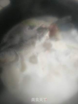 砂锅鲫鱼水饺的做法步骤:8