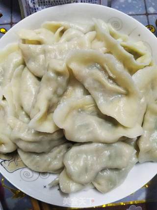 猪肉青椒饺子的做法步骤:6
