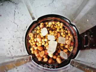 花生核桃黄豆浆的做法步骤:5