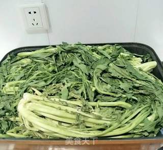 自制梅干菜的做法步骤:7