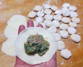 黄花鱼元宝水饺的做法步骤:8
