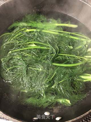 茴香猪肉包子的做法步骤:4
