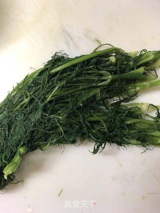 茴香猪肉包子的做法步骤:5