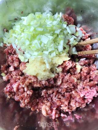 茴香猪肉包子的做法步骤:8