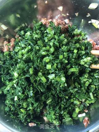 茴香猪肉包子的做法步骤:9