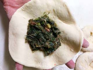 茴香猪肉包子的做法步骤:14