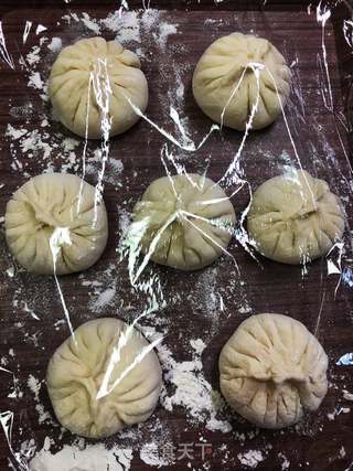 茴香猪肉包子的做法步骤:17