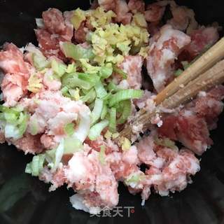 “野菜”野葱千层羊肉饼的做法步骤:7