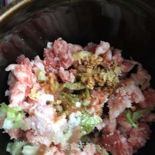 “野菜”野葱千层羊肉饼的做法步骤:9
