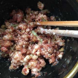 “野菜”野葱千层羊肉饼的做法步骤:10