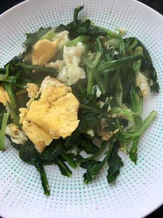 大叶苦菜炒鸡蛋的做法步骤：10