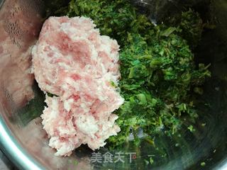 野菜一一野芹菜饺子的做法步骤:3
