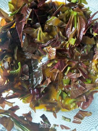 椿芽鸡蛋煎饼的做法步骤:2