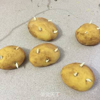 仿真土豆包的做法步骤:14