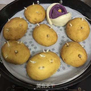 仿真土豆包的做法步骤:16
