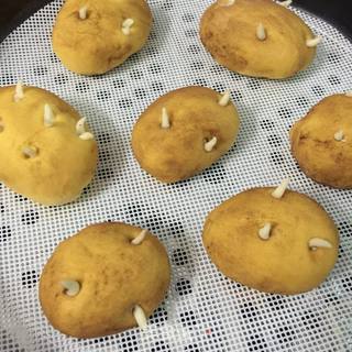 仿真土豆包的做法步骤:15
