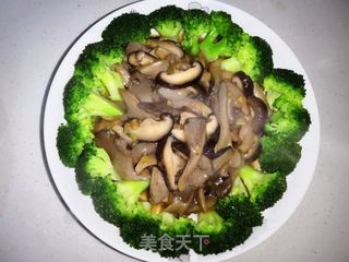 蚝油双菇西兰花的做法步骤:14