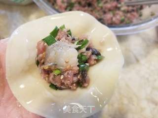 韭菜鲜虾猪肉饺的做法步骤:13
