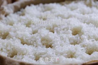 甜酒酿的做法步骤:8