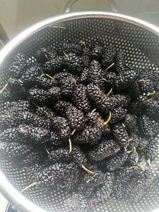 桑葚果酱的做法步骤:2