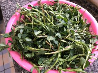 寻味春天-苜蓿蒸菜的做法步骤:2