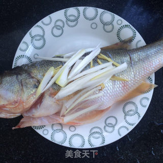 油泼香葱鲈鱼的做法步骤:2