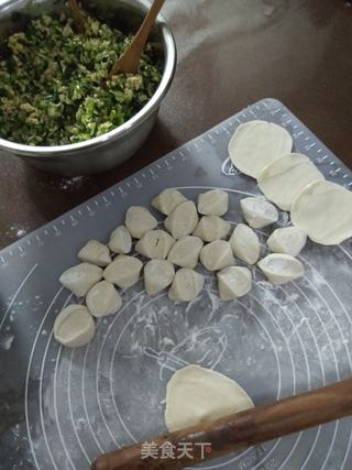 韭菜鳕鱼饺子的做法步骤:10