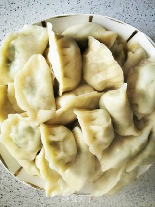 韭菜鳕鱼饺子的做法步骤:13