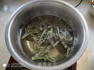 香椿鸡蛋饼的做法步骤:3