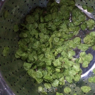 榆钱蒸蛋的做法步骤:2