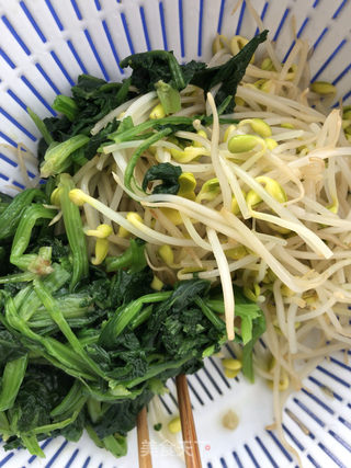 油泼菠菜面的做法步骤:9