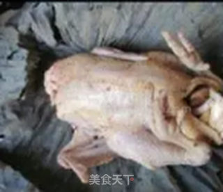 叫花鸡的做法步骤:14