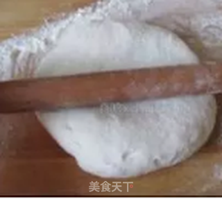 叫花鸡的做法步骤:16