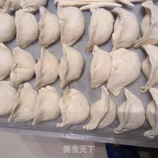 #韮菜虾仁饺子的做法图解6