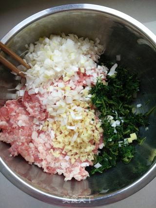 荠菜猪肉水饺的做法步骤:6