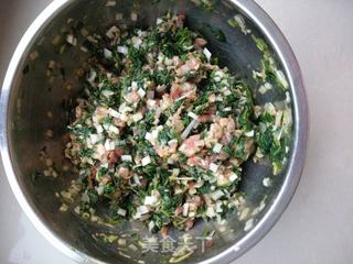 荠菜猪肉水饺的做法步骤:8