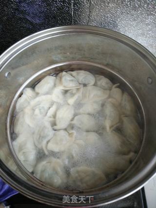 荠菜猪肉水饺的做法步骤:14