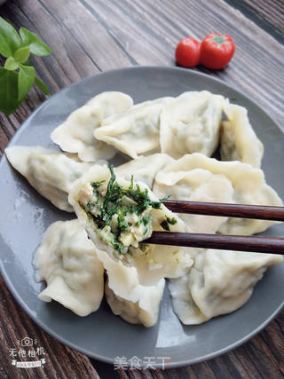 荠菜猪肉水饺的做法步骤:15