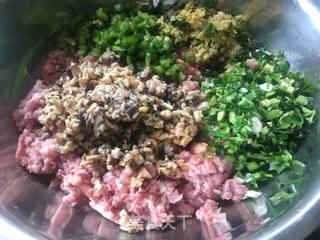 燕麦冬菇猪肉饺的做法步骤:5