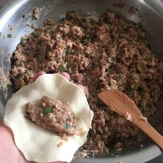 燕麦冬菇猪肉饺的做法步骤:11