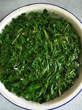 荠菜蒸饺的做法步骤:6