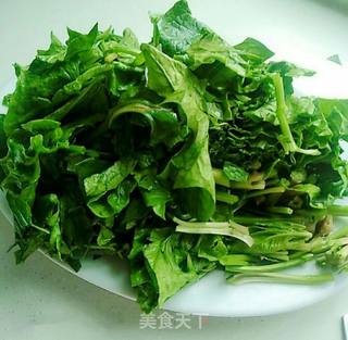 自制菠菜粉的做法步骤:2