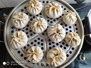 西瓜皮猪肉馅包子的做法步骤:9