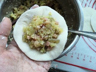 包菜粉条火腿水煎包的做法步骤:7