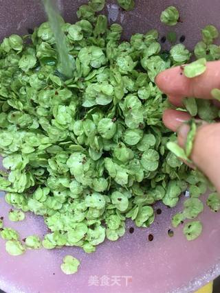 生煎榆钱卷的做法步骤:10