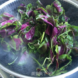 蒜香苋菜的做法步骤:6